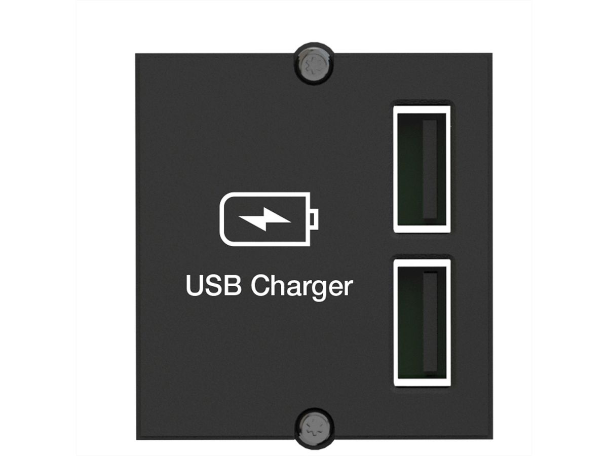 BACHMANN Module Custom USB Double-chargeur, noir, 0,2 m