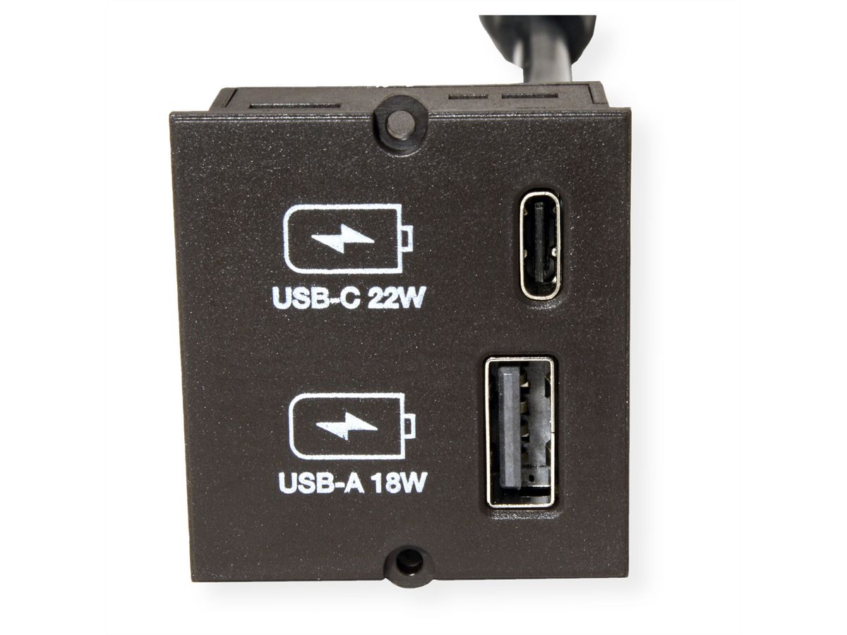 BACHMANN Module Custom USB Double-chargeur