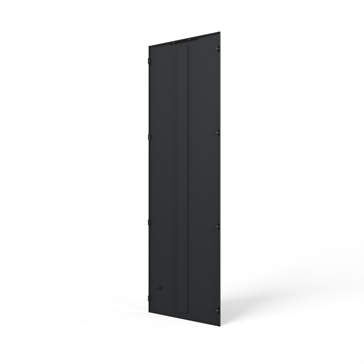 SCHROFF Porte arrière 2200H 800L IP55