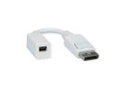 ROLINE Adaptateur DisplayPort, DP M-Mini DP F