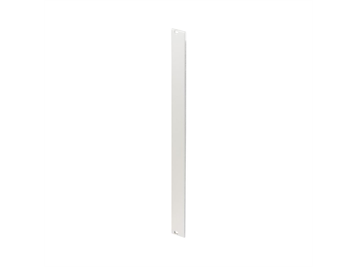SCHROFF Face avant, non blindée, 6 U, 21 HP, 2,5 mm, alu, face avant anodisée, face arrière conductrice