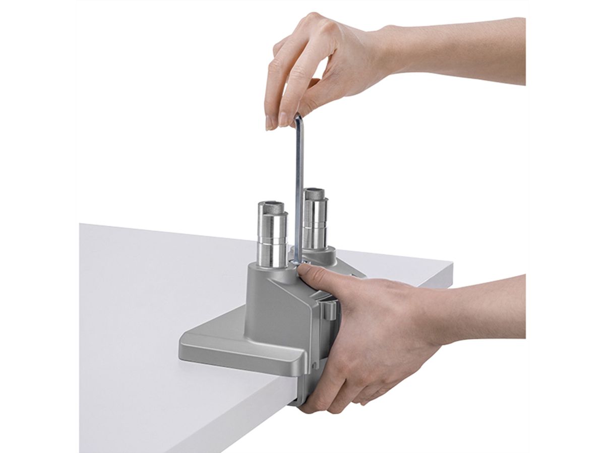 ROLINE Support double LCD, fixation sur bureau, vérin à gaz, 5 articulations, 17-23", jusqu'à 2x 9 kg, argent
