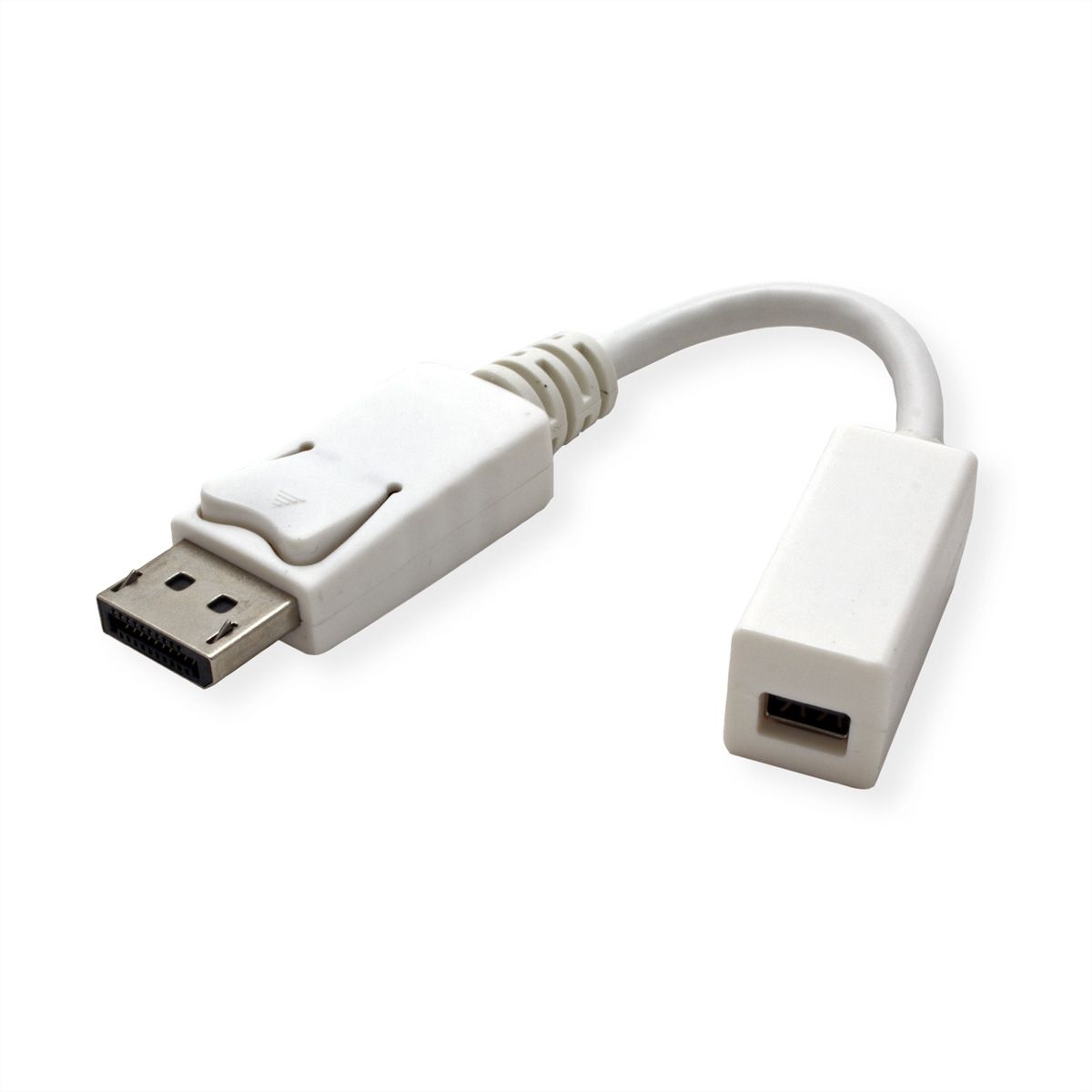 ROLINE Adaptateur DisplayPort, DP M-Mini DP F