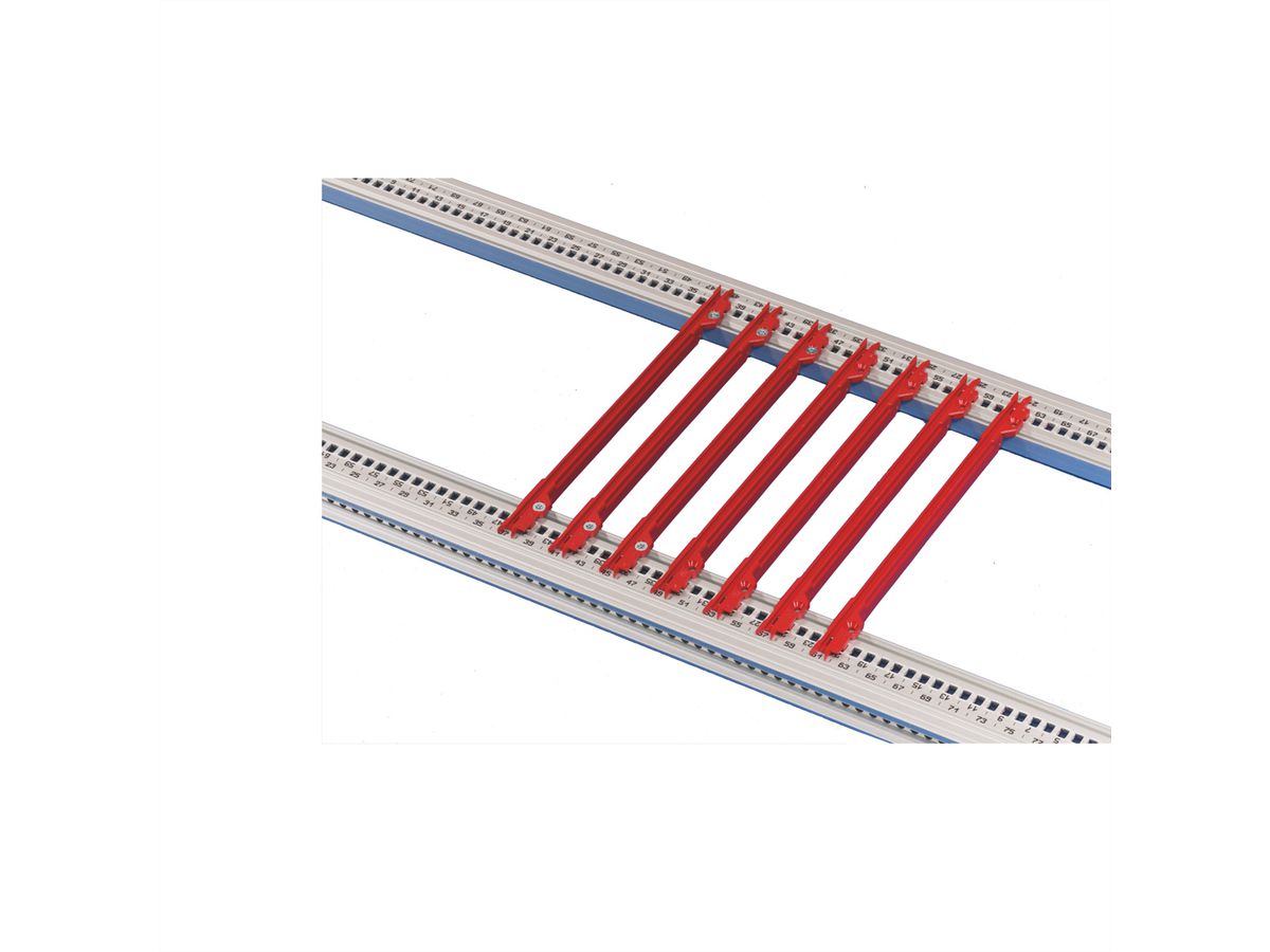 Guide-cartes SCHROFF, 4.4" type PCB, plastique, 160 mm, largeur de rainure 2 mm, rouge, 50 pièces