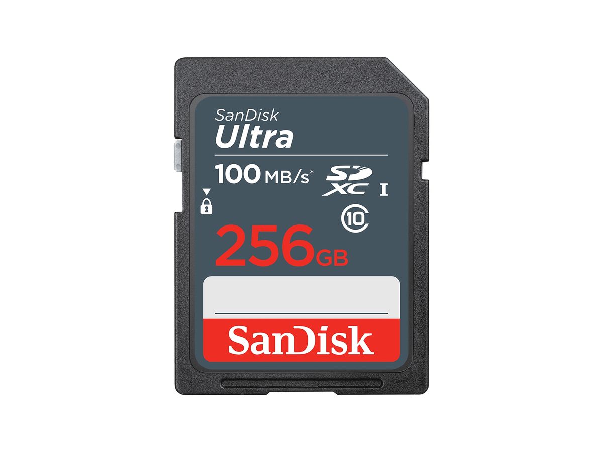 SanDisk Ultra 256 Go SDXC UHS-I Classe 10