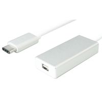 VALUE Adaptateur Type C Mini DisplayPort, v1.2, M/F