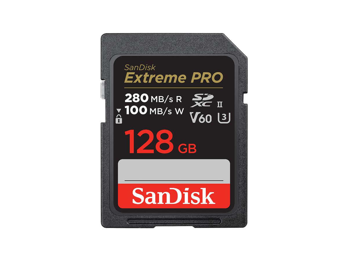 SanDisk SDSDXEP-128G-GN4IN mémoire flash 128 Go SDXC UHS-II Classe 10