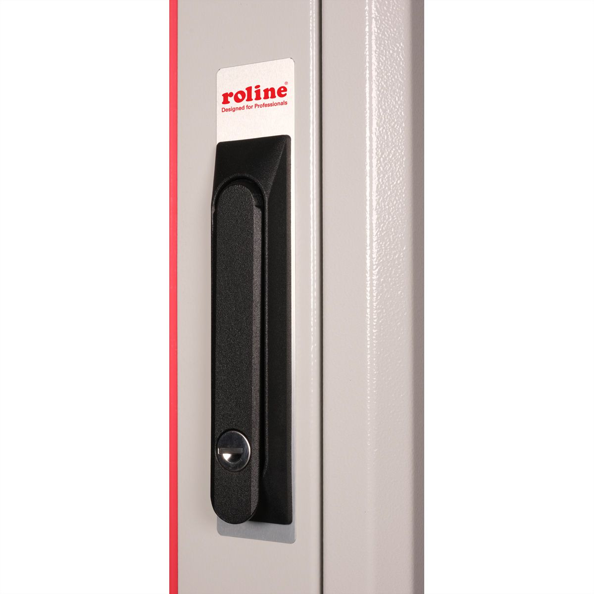 ROLINE 19" Baie réseau Basic 32U, 600x800 LxP Porte verre gris