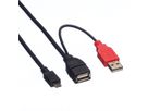 ROLINE Câble USB 2.0 en Y, 2x Type A (M/F) - Micro B M, 1 m