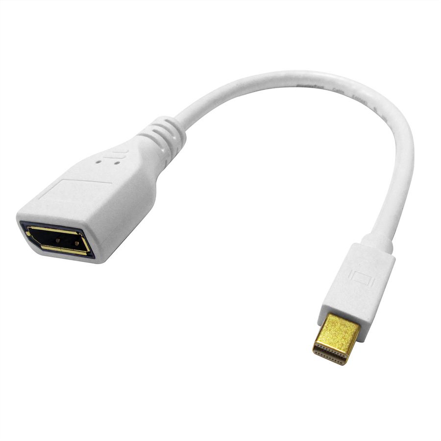 ROLINE Adaptateur DisplayPort, Mini DP M - DP F, 0,15 m