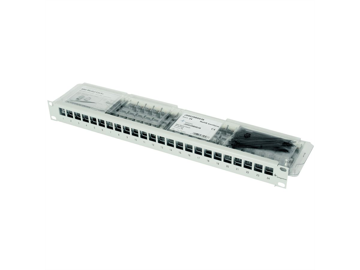 19"-Porte modules 1 UH équipé de 24 modules AMJ Cat.6A (Classe EA) (ISO/IEC), noir