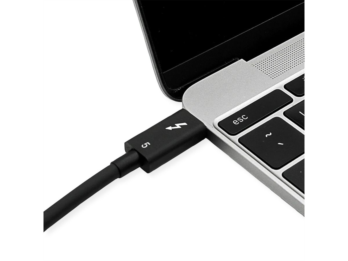 ROLINE Câble Thunderbolt™ 5 USB type C, M/M, 80Gbit/s, 240W, passif, noir, 0,5 m
