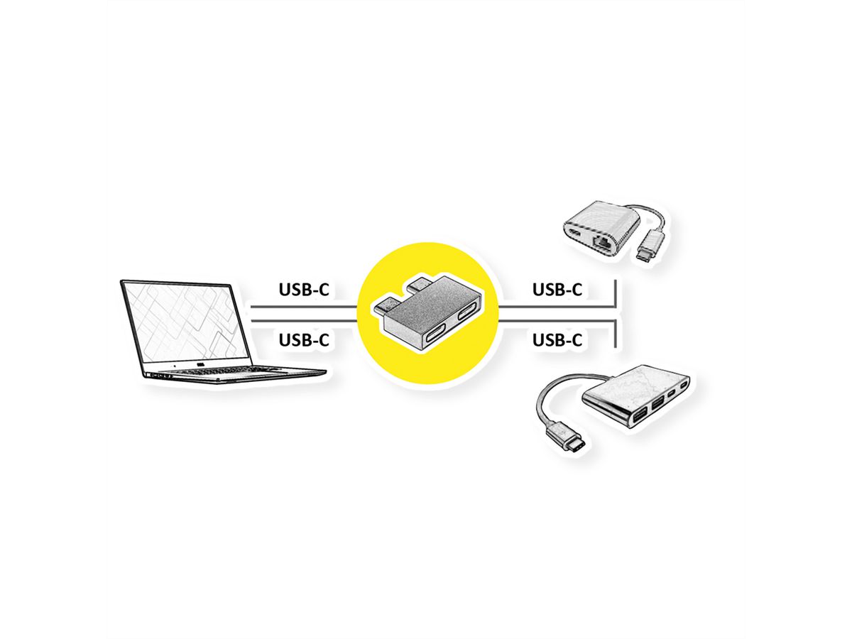 ROLINE Adaptateur USB 3.2 Gen 2, 2x USB Type C - 2x USB Type C,  M/F, argent