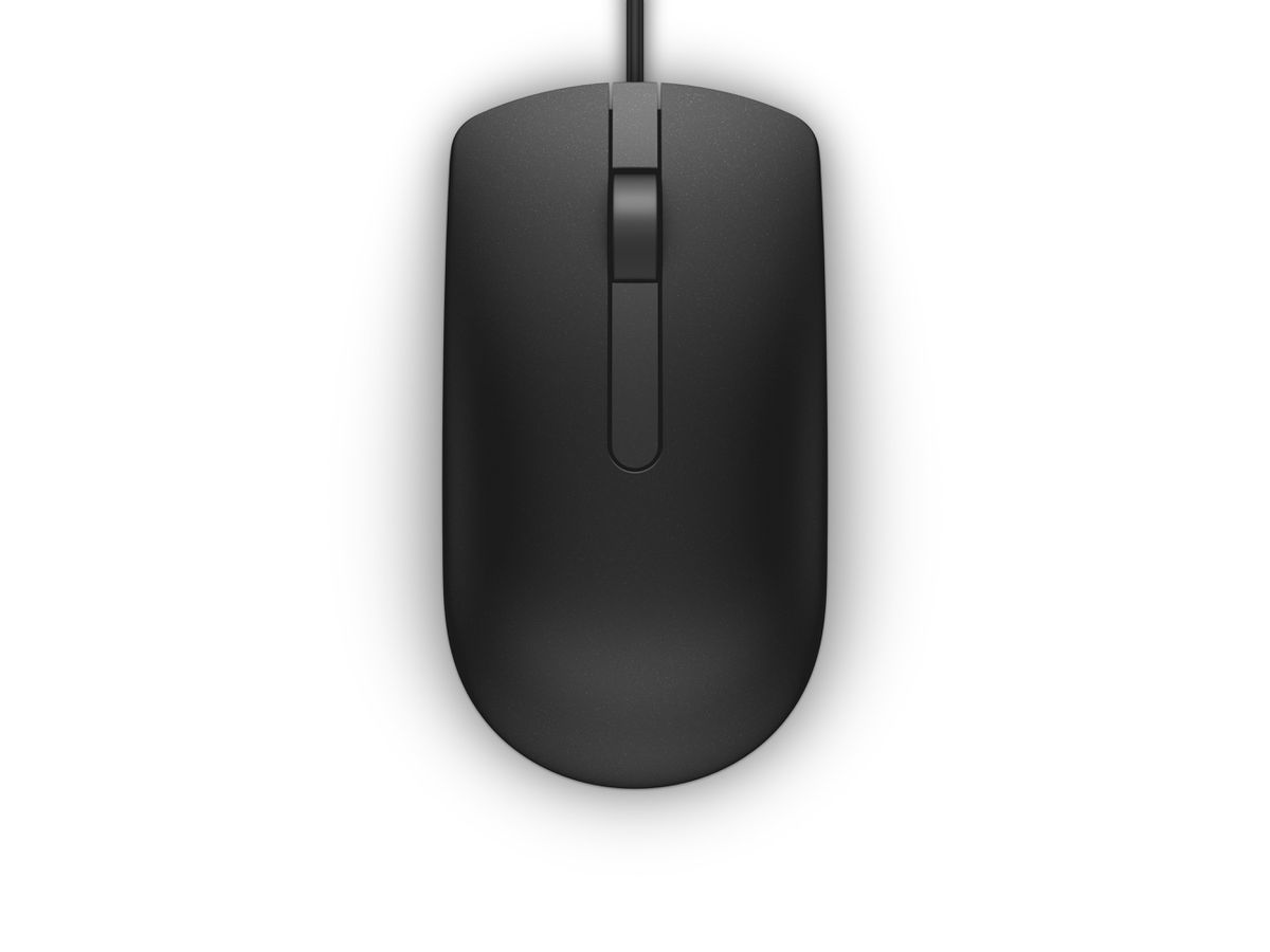 DELL MS116 souris Ambidextre USB Type-A Optique 1000 DPI