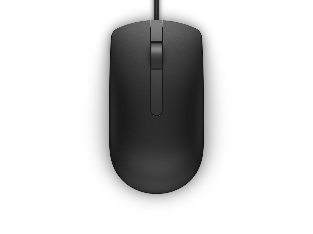 DELL MS116 souris Ambidextre USB Type-A Optique 1000 DPI