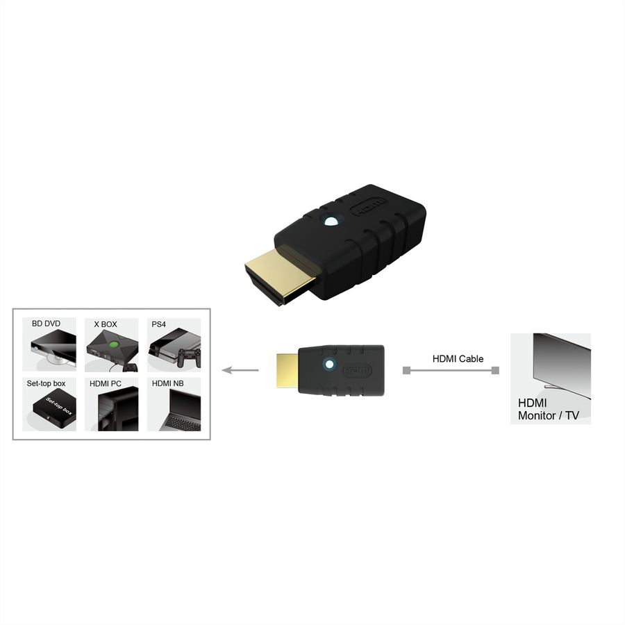 ROLINE Adaptateur Display, émulateur HDMI virtuel (EDID), 4K