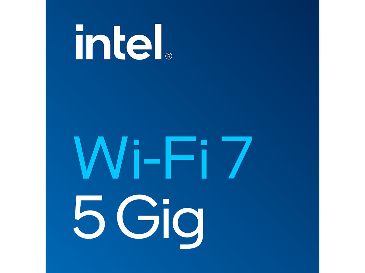 Intel Wi-Fi 7 BE200 Interne WLAN / Bluetooth 5800 Mbit/s