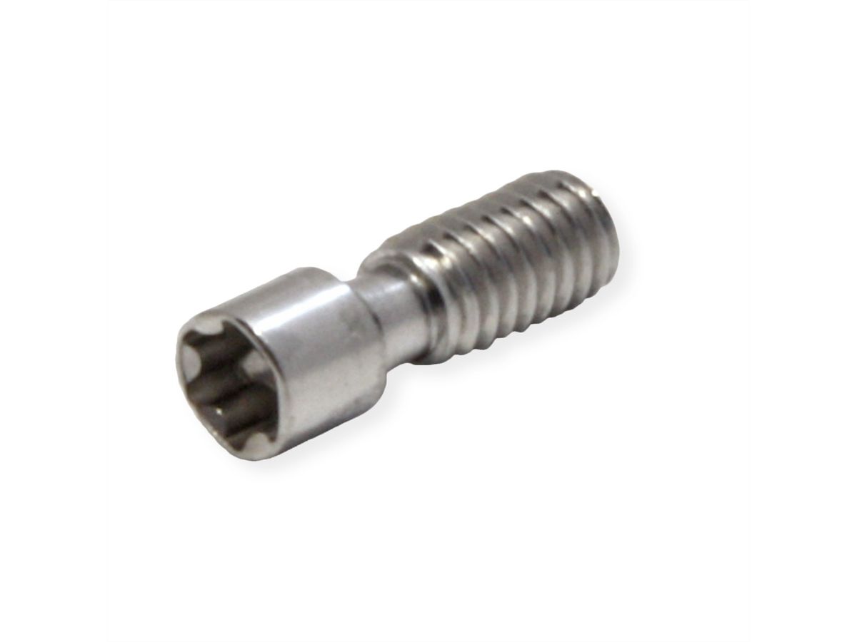 Vis sans tête SCHROFF, acier, M2.5 x 9, Torx 8