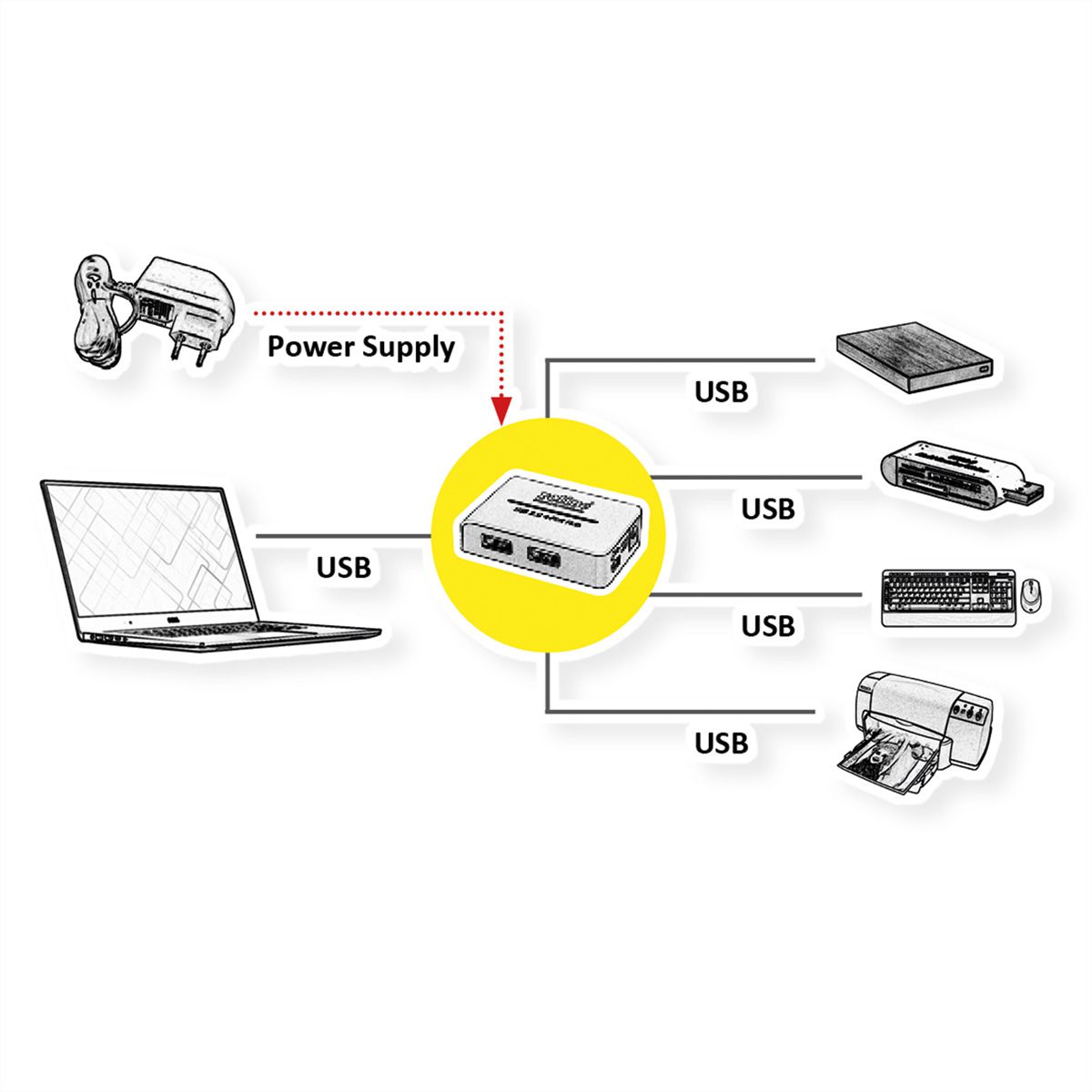 ROLINE Hub USB 2.0 "Black and White", 4 ports, avec alimentation