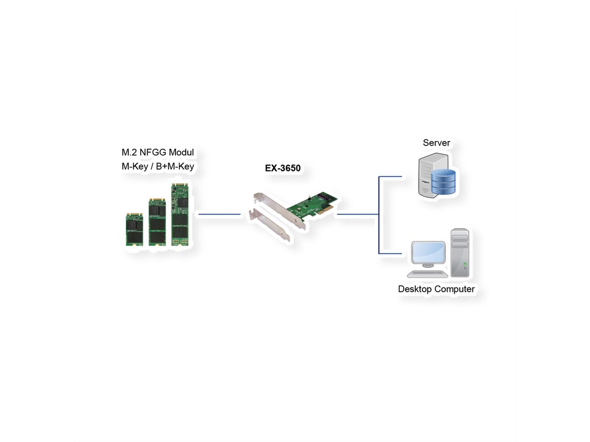 EXSYS EX-3650 PCIe Contrôleur  pour module M.2 NFGG