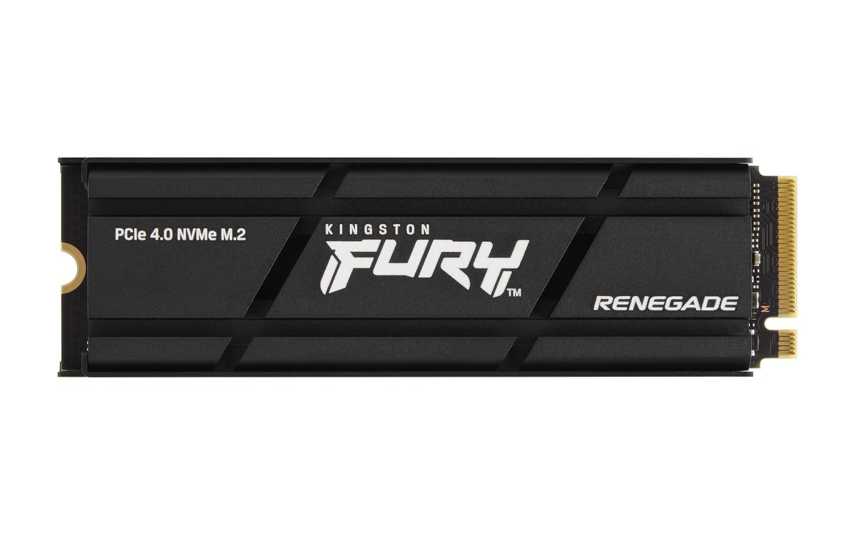 Kingston Technology 1000G RENEGADE PCIe 4.0 NVMe SSD W/ Radiateur de dissipation thermique