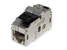 BACHMANN Keystone CAT6 STP Coupleur RJ45 blindé, métallique