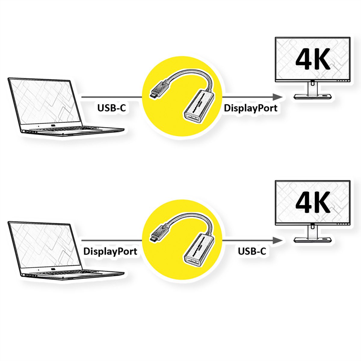 ROLINE Câble adaptateur USB-C - DisplayPort, v1.2, M/F, bidirectionnel, 0,2 m