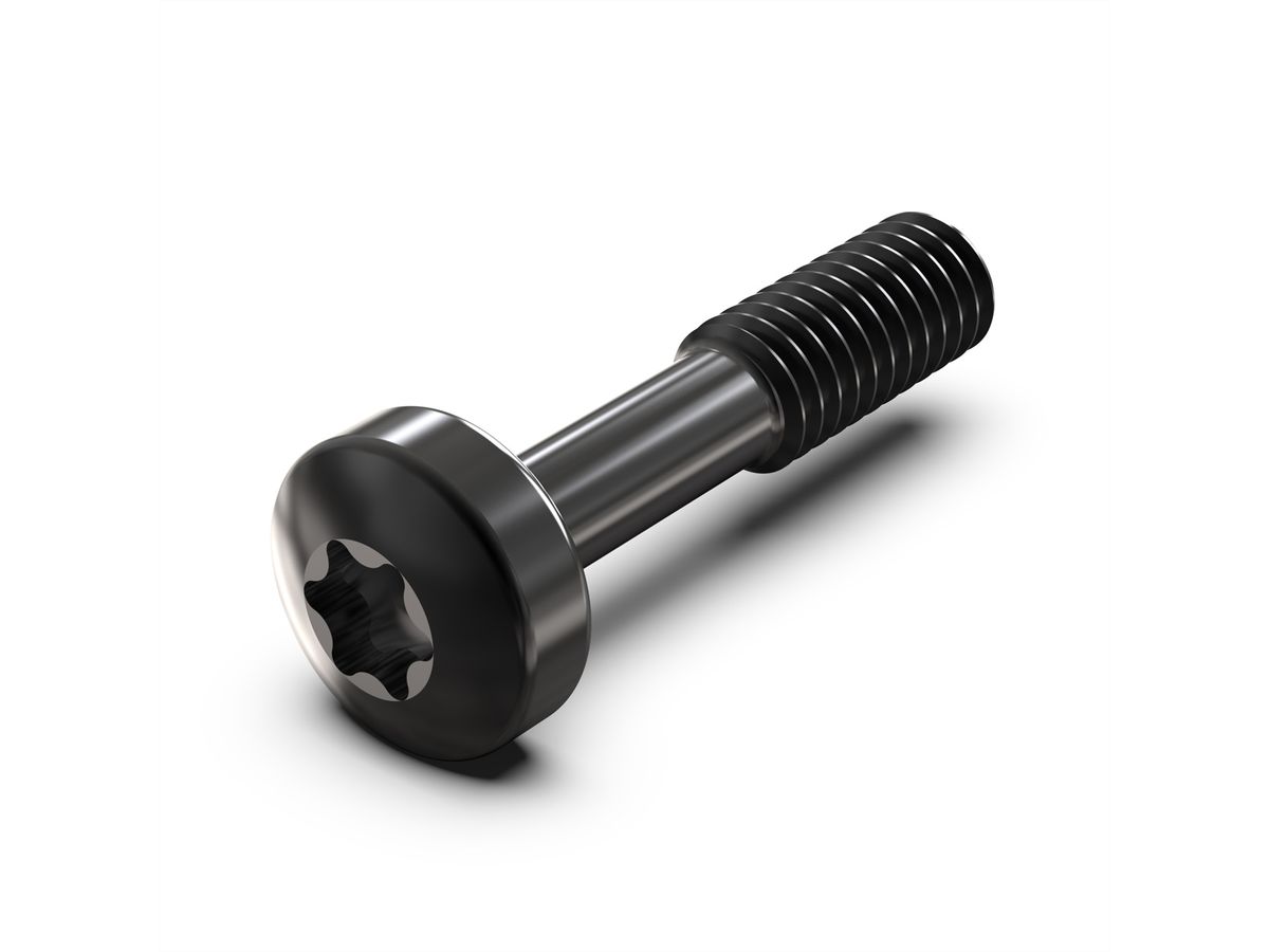 Vis à collerette de SCHROFF, Torx M2.5 x 12.3 mm, acier noir, 100 pièces