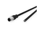 METZ CONNECT Câble de capteur/actionneur M12, codage A, M12 connecteur droit - extrémité ouverte, non blind, 5 pôles, PUR, 5 m