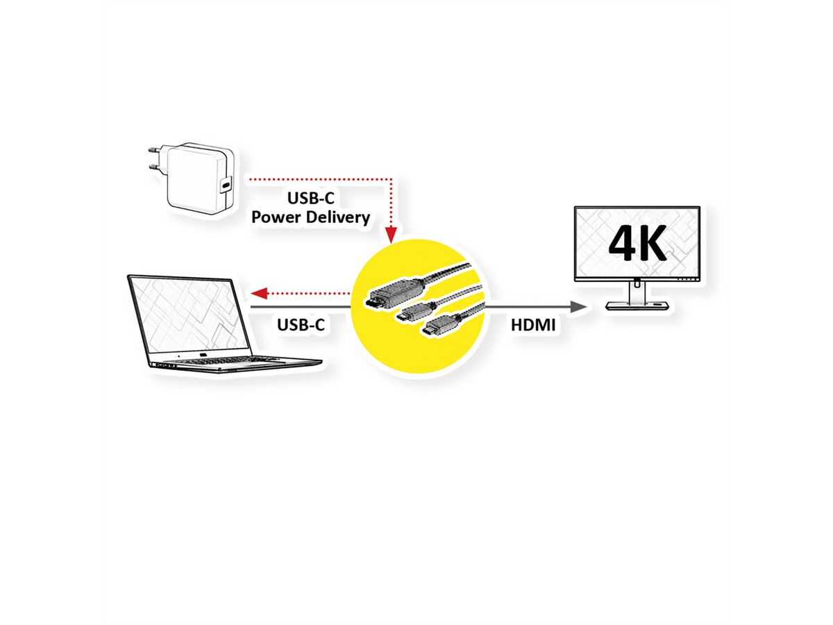 ROLINE Câble adaptateur type C - HDMI + USB C, M/M, 1 m