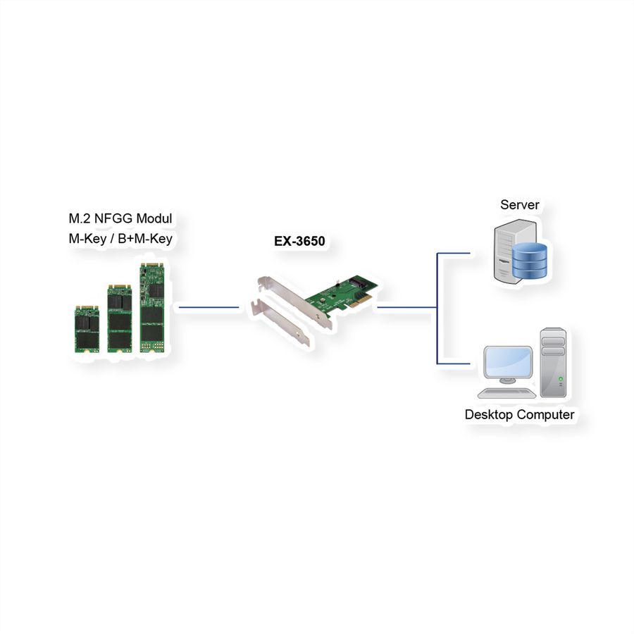 EXSYS EX-3650 PCIe Contrôleur  pour module M.2 NFGG