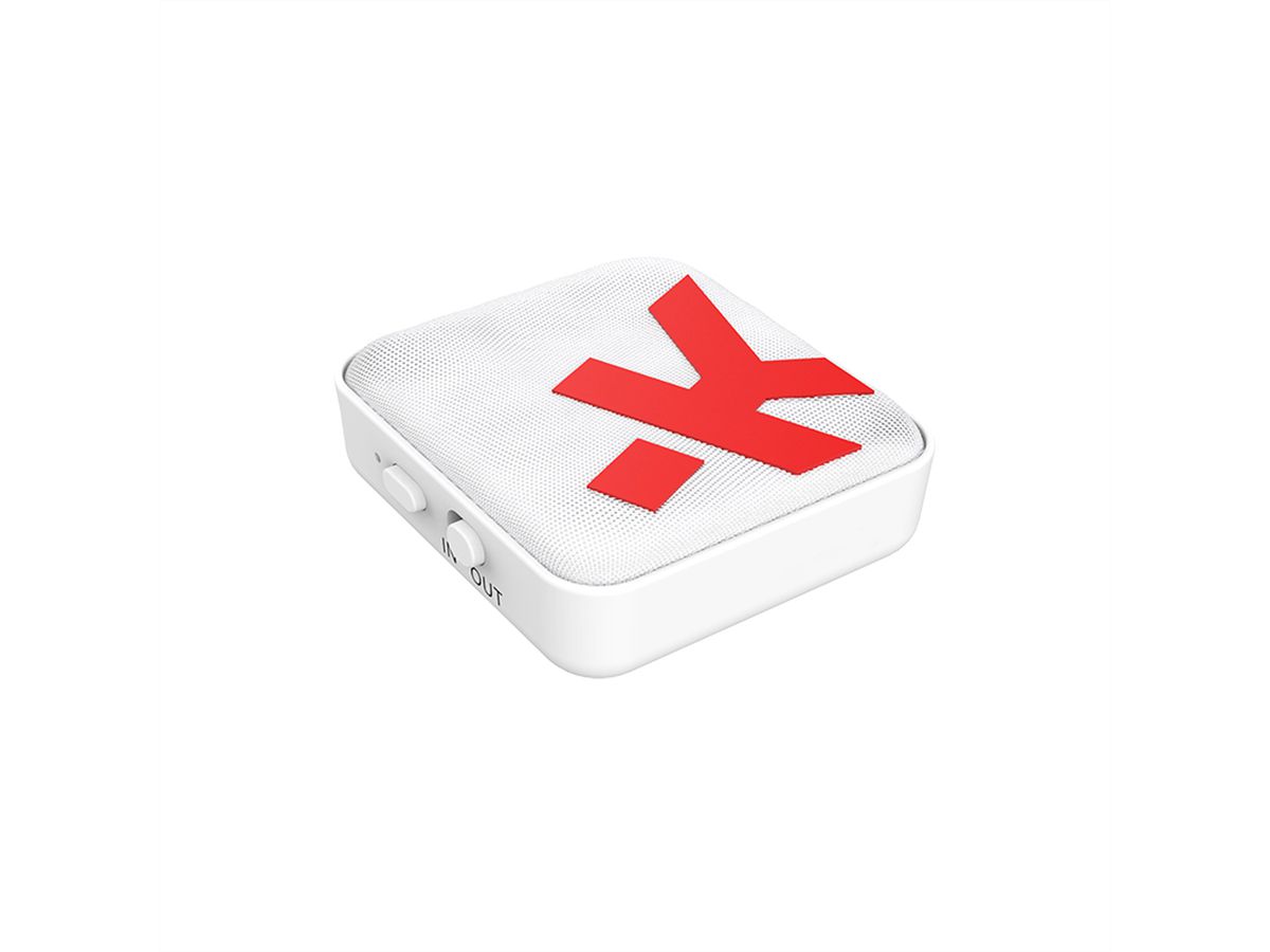 SKROSS Adaptateur audio sans fil