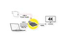 ROLINE Adaptateur Mini DisplayPort / DisplayPort / Type C - HDMI, Actif, 0,15 m