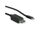 ROLINE Câble adaptateur type C - DisplayPort, v1.2, M/M, 2 m