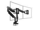 BACHMANN ZG2 bras double pour écran DS noir, montage sur bureau, 17-34 pouces, jusqu'à 11 kg