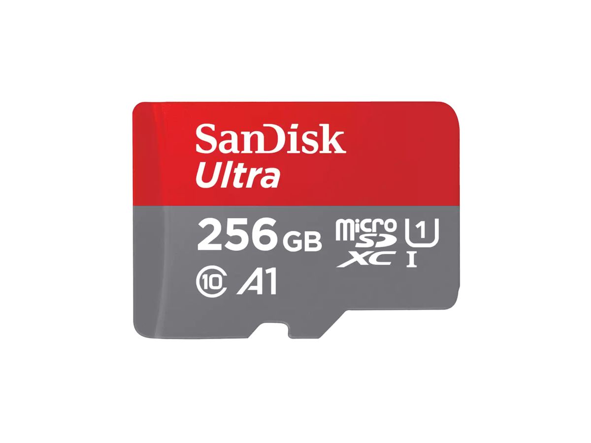 SanDisk Ultra 256 Go MicroSDXC UHS-I Classe 10