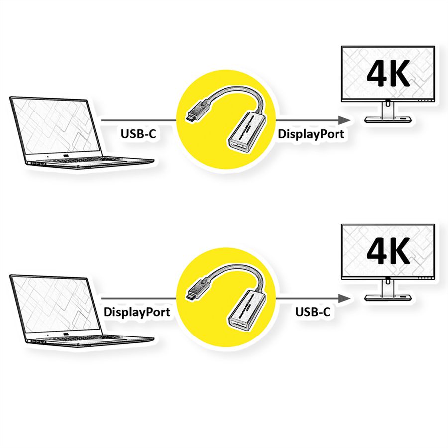 ROLINE Câble adaptateur USB-C - DisplayPort, v1.2, M/F, bidirectionnel, 0,2 m