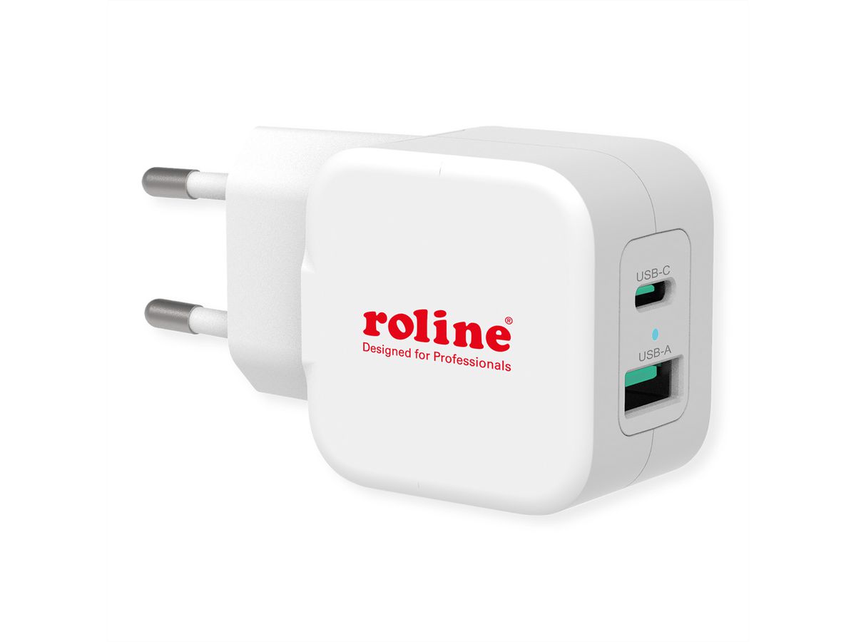ROLINE Câble de chargement USB2.0 Y - Splitter, Type C vers 2x C, M/M, max.  100W, noir, 1,85 m - SECOMP France