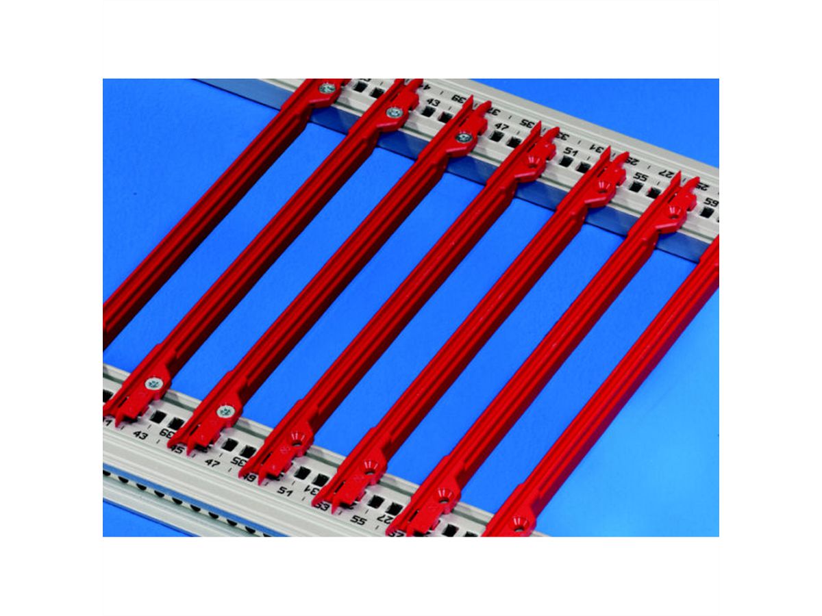 Guide-cartes SCHROFF, 4.4" type PCB, plastique, 160 mm, largeur de rainure 2 mm, rouge, 50 pièces