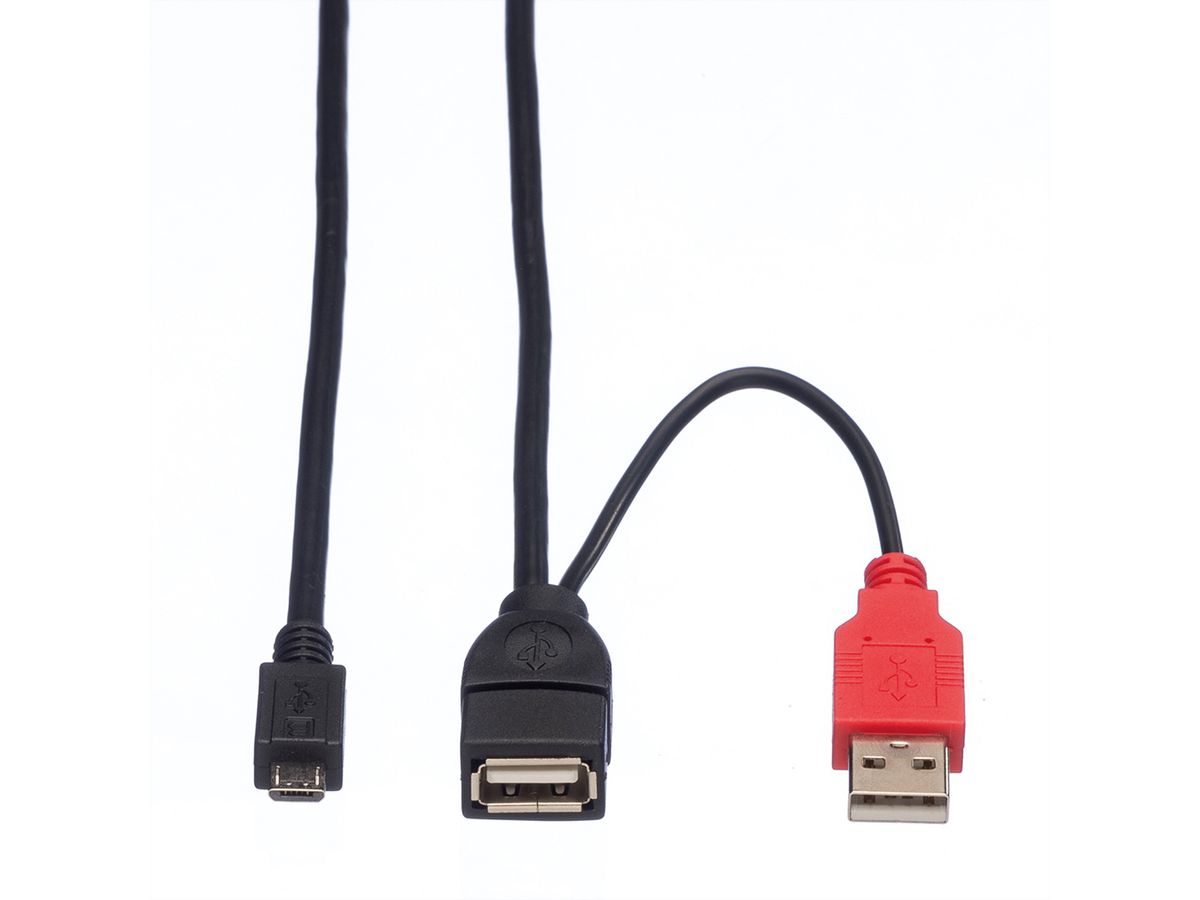 ROLINE Câble USB 2.0 en Y, 2x Type A (M/F) - Micro B M, 1 m