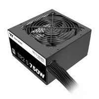 Thermaltake TR2 S 750W bloc d'alimentation