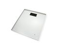ROLINE 19" Boîtier mural Pro 12U, 600x600 LxP gris