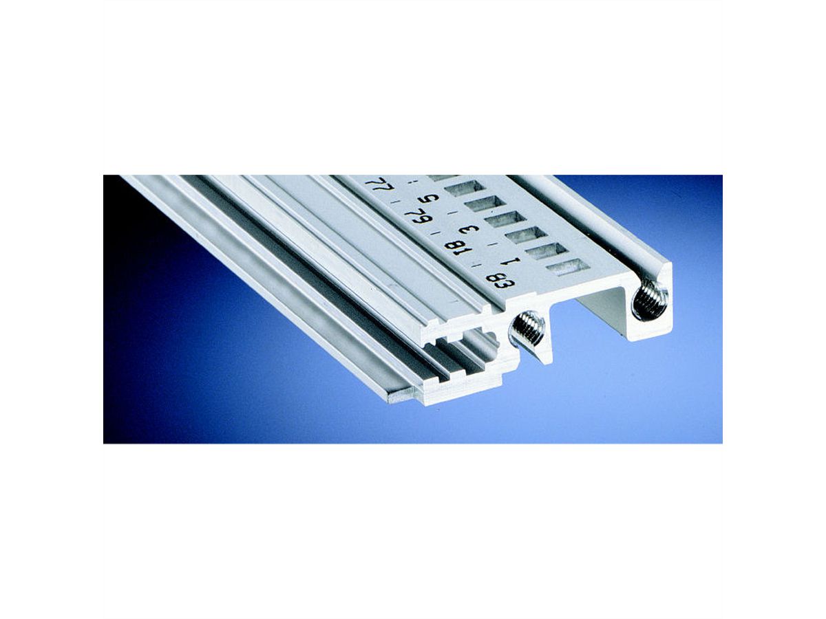 SCHROFF Devant de rail horizontal, Type H-KD, lourd, lèvre courte, 1000 mm