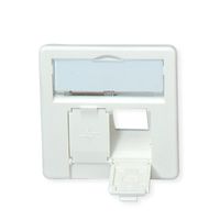 TELEGÄRTNER Plaque centrale pour boîtiers AMJ45, 2 ports, blanc alpin