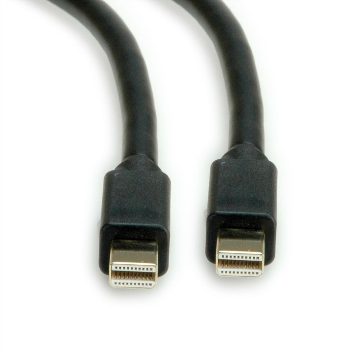 ROLINE Câble Mini DisplayPort v1.4, mDP M - mDP M, noir, 2 m
