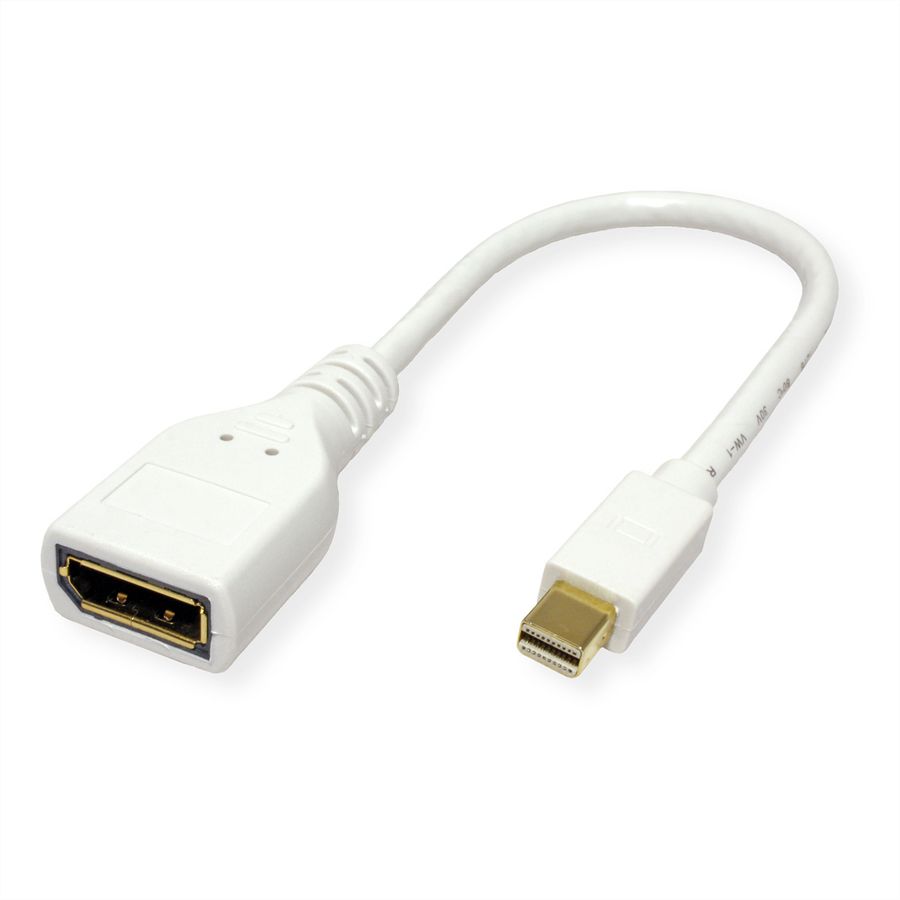 ROLINE Adaptateur DisplayPort, Mini DP M - DP F, 0,15 m