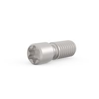 Vis sans tête SCHROFF, acier, M2.5 x 9, Torx 8