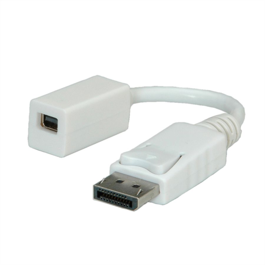 ROLINE Adaptateur DisplayPort, DP M-Mini DP F