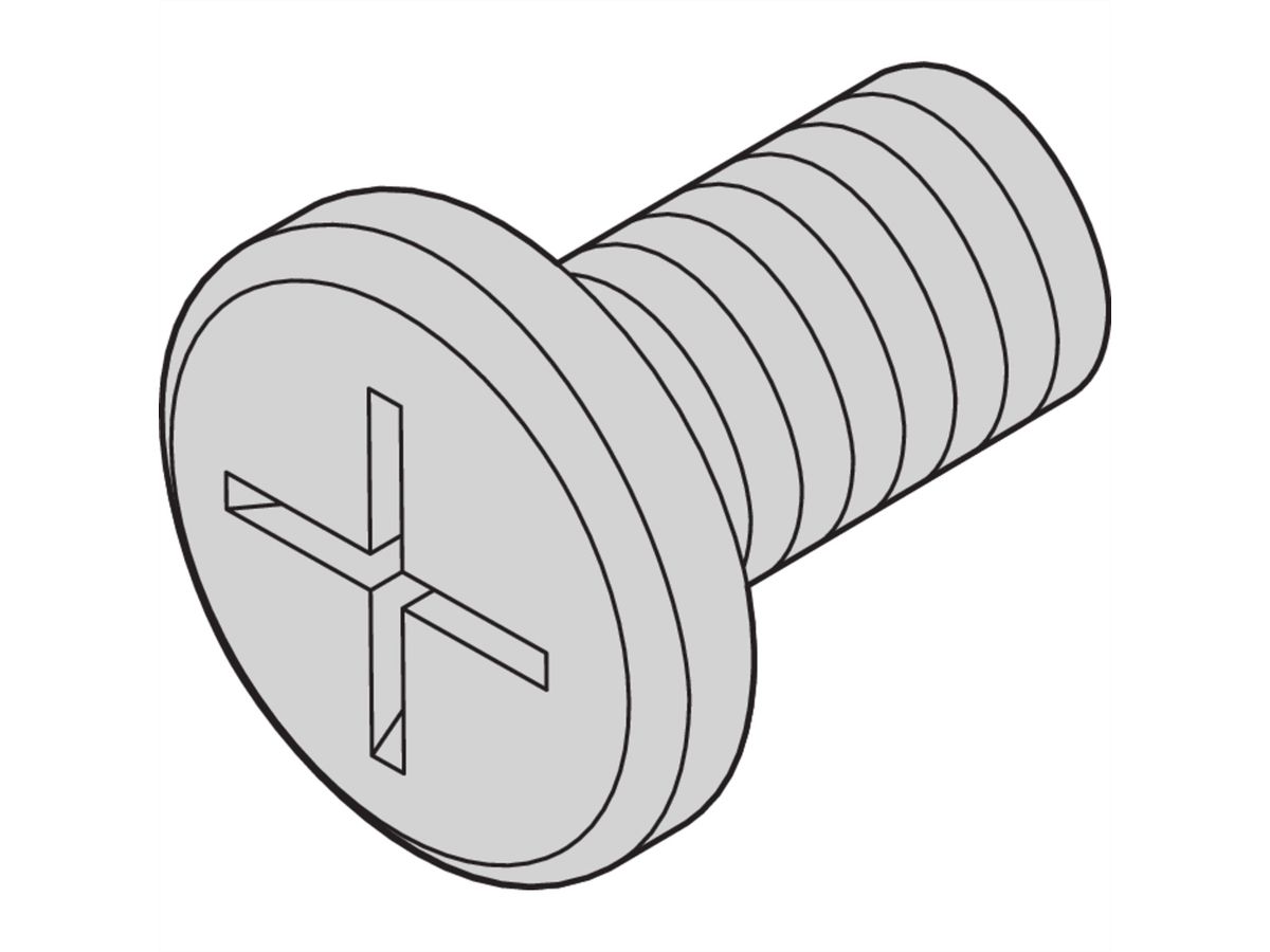 Kit de vis SCHROFF pour entraînements à disque, M4x6 mm