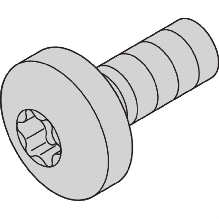 SCHROFF vis à tête cylindrique avec composé de blocage de filets, Torx, M4 x 10